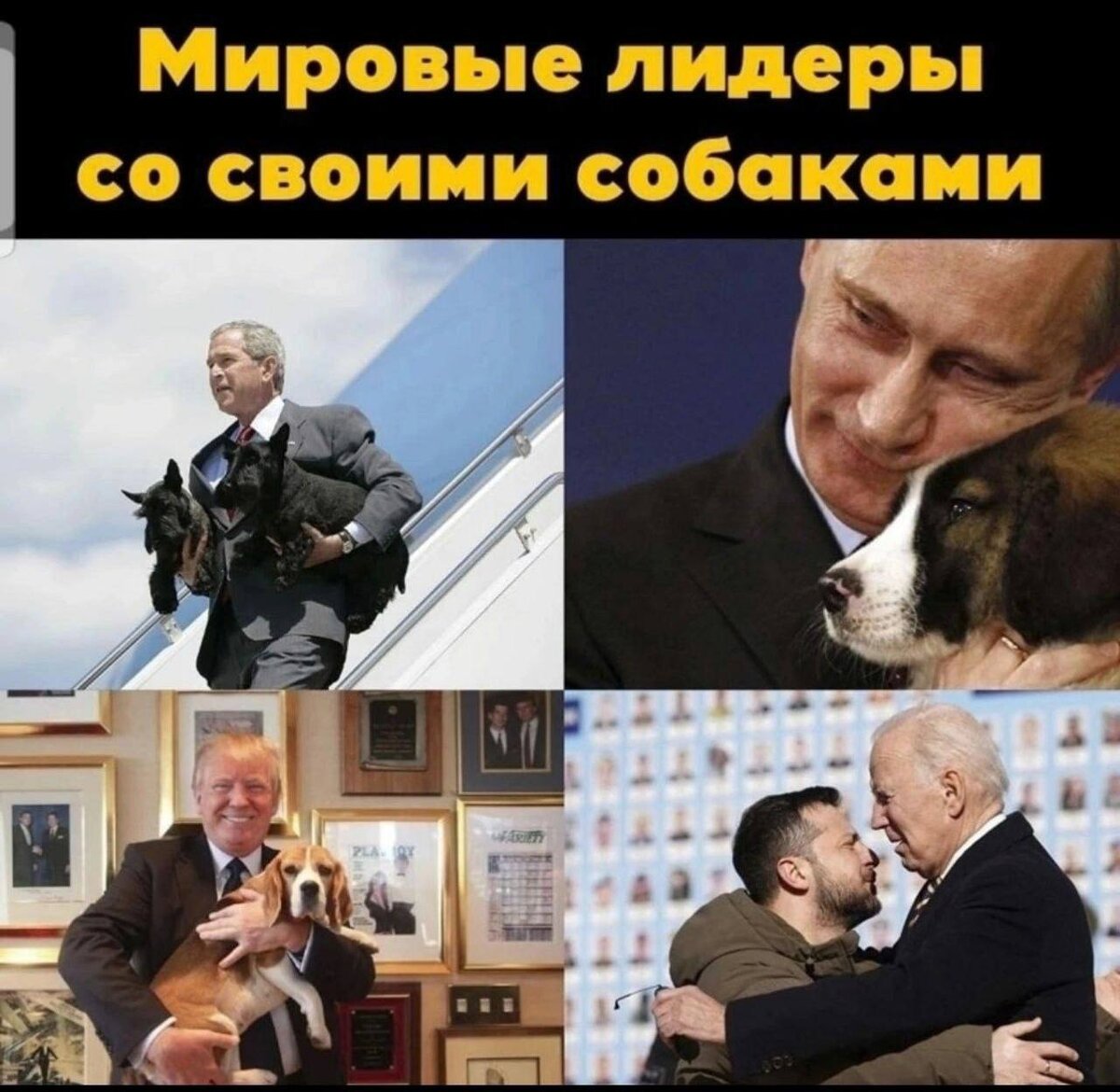 Все фото из интернета.