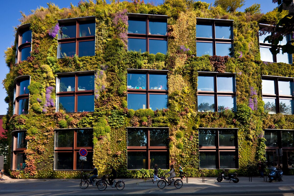 Фото: https://www.pinterest.ru/pin/787637422314017364/