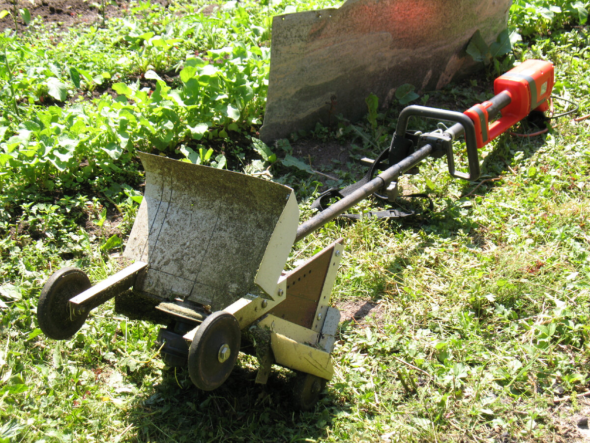 Вид спереди