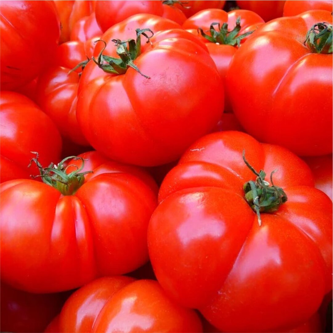 Синьор Помидор