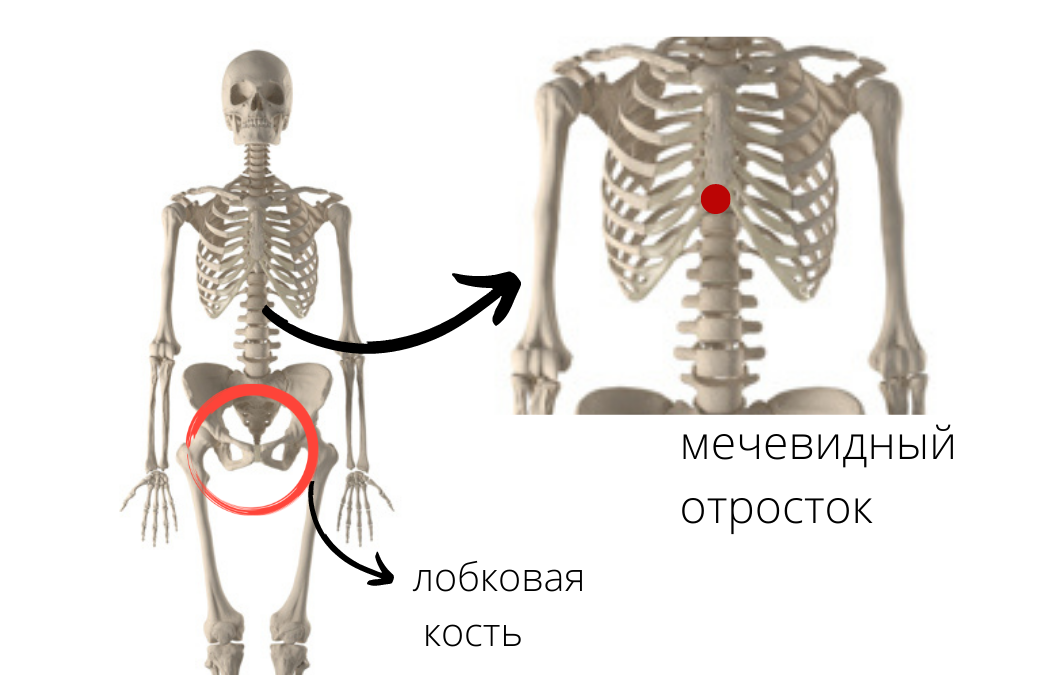 Смещение грудной клетки