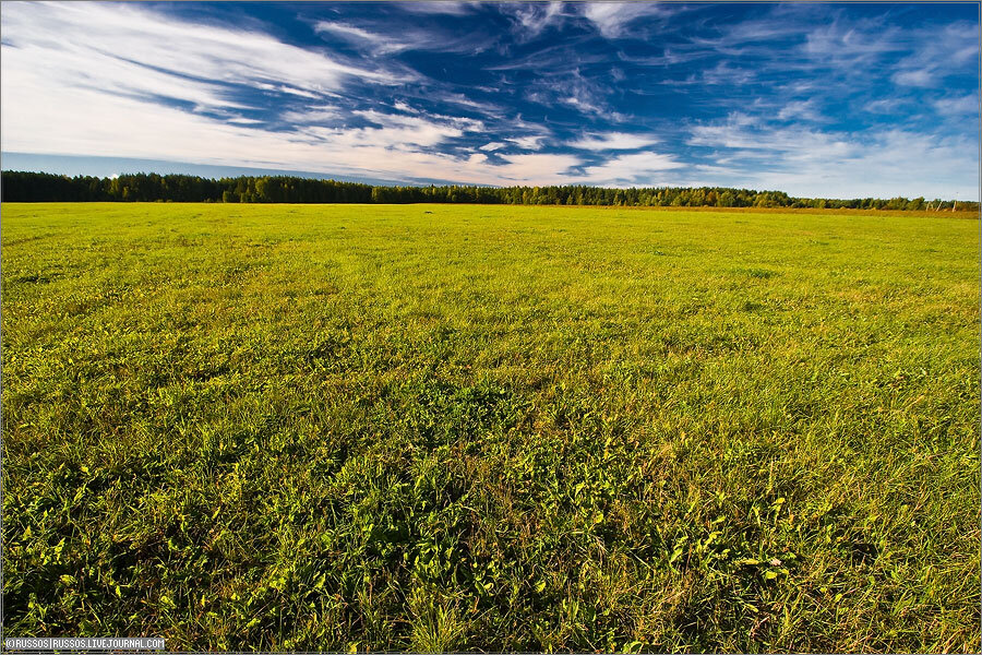 Необъятные поля.