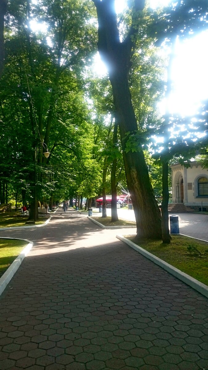 Центральная аллея