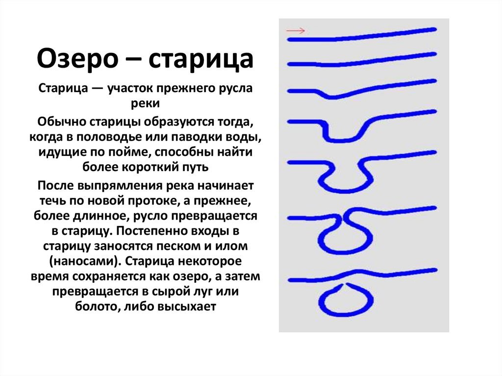 Схема образование стариц при меандрировании. Иллюстрация из открытых источников "Яндекс-картинки"