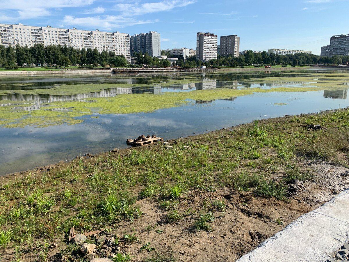 Мосфильмовский пруд москва. Усадьба воронцово пруд. Каскад кировоградских прудов чертаново. Квадратный пруд в москве. Измайловский парк большой пруд.