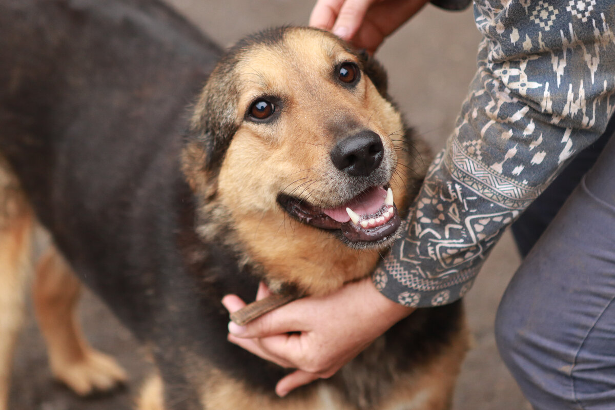 Наша добрая жемчужина одного ряда