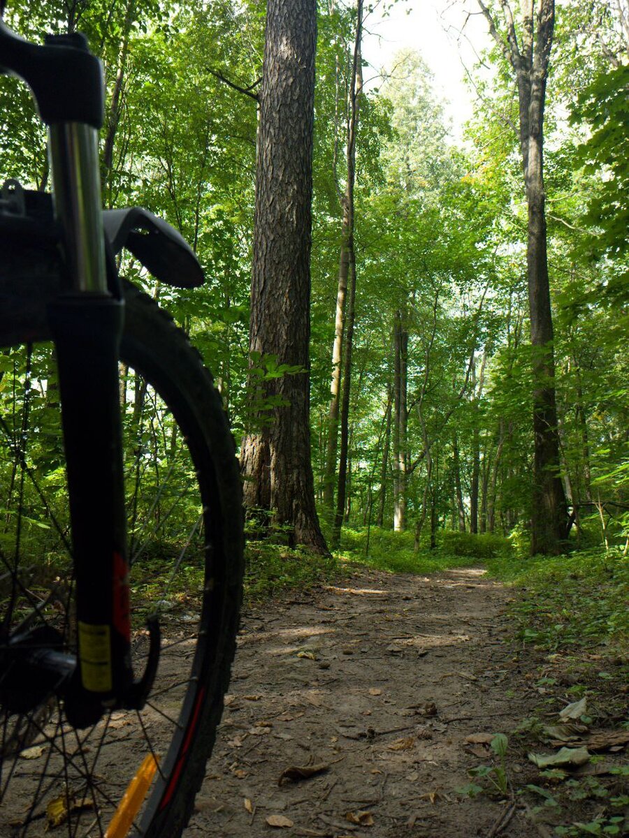 Тропинки в парке.