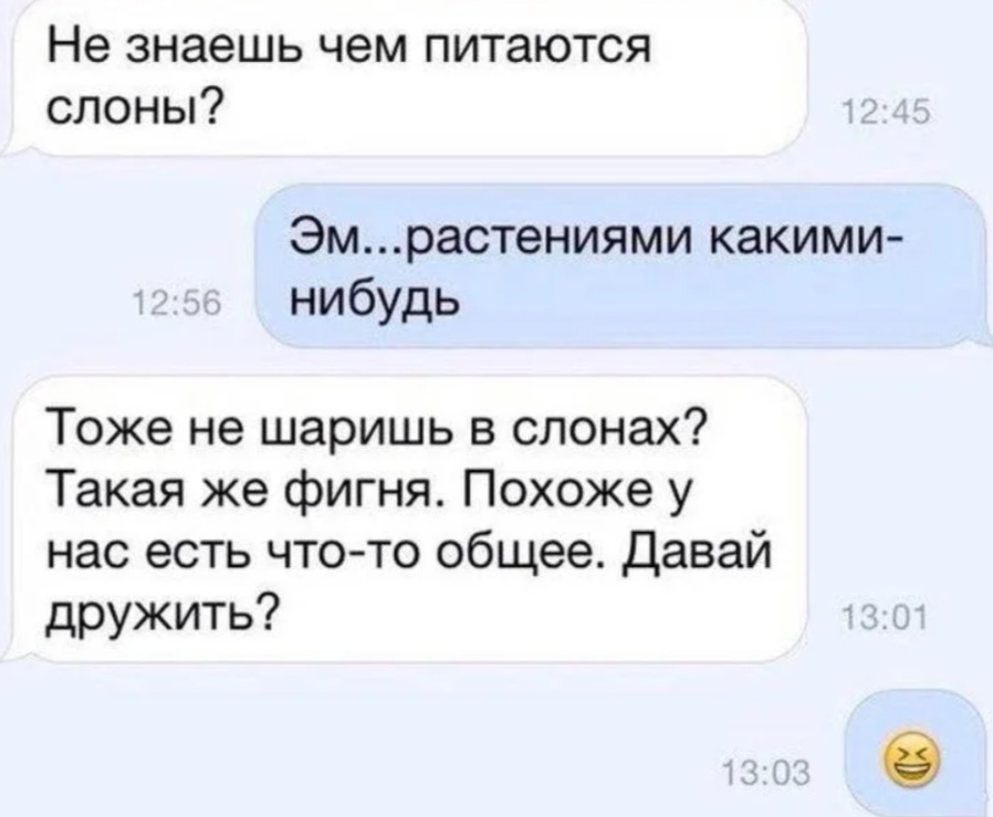 Какую нибудь сама. Пикап приколы. Смешные Пикапы для девушек. Подкаты к девушкам смешные фразы. Пикап фразы