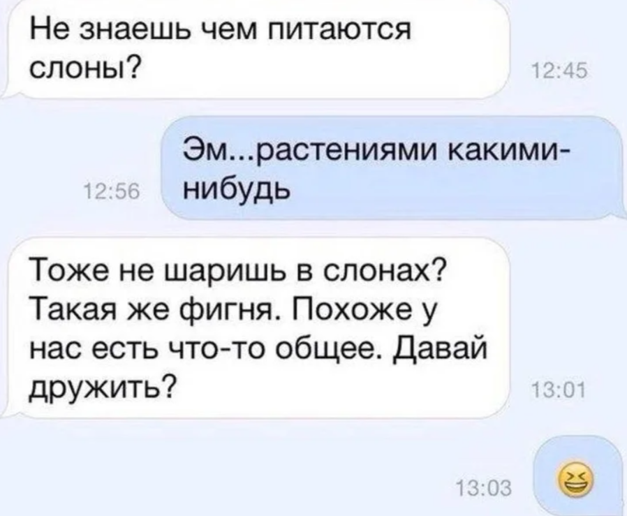 Соответствовать в чем нибудь. Пикап приколы. Смешные Пикапы для девушек. Подкаты к девушкам смешные фразы. Пикап фразы.