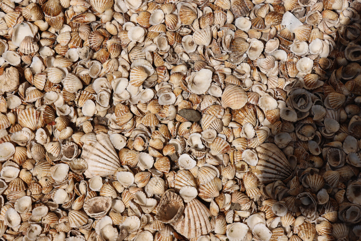 Все фото автора