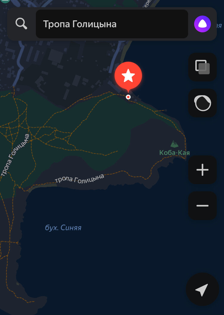 Скриншот из ЯндексКарт. Доезжаете до Нового Света, а там очень легко добраться до тропы Голицы - достаточно спросить в любом киоске (если у Вас навигатора нет 🙂)