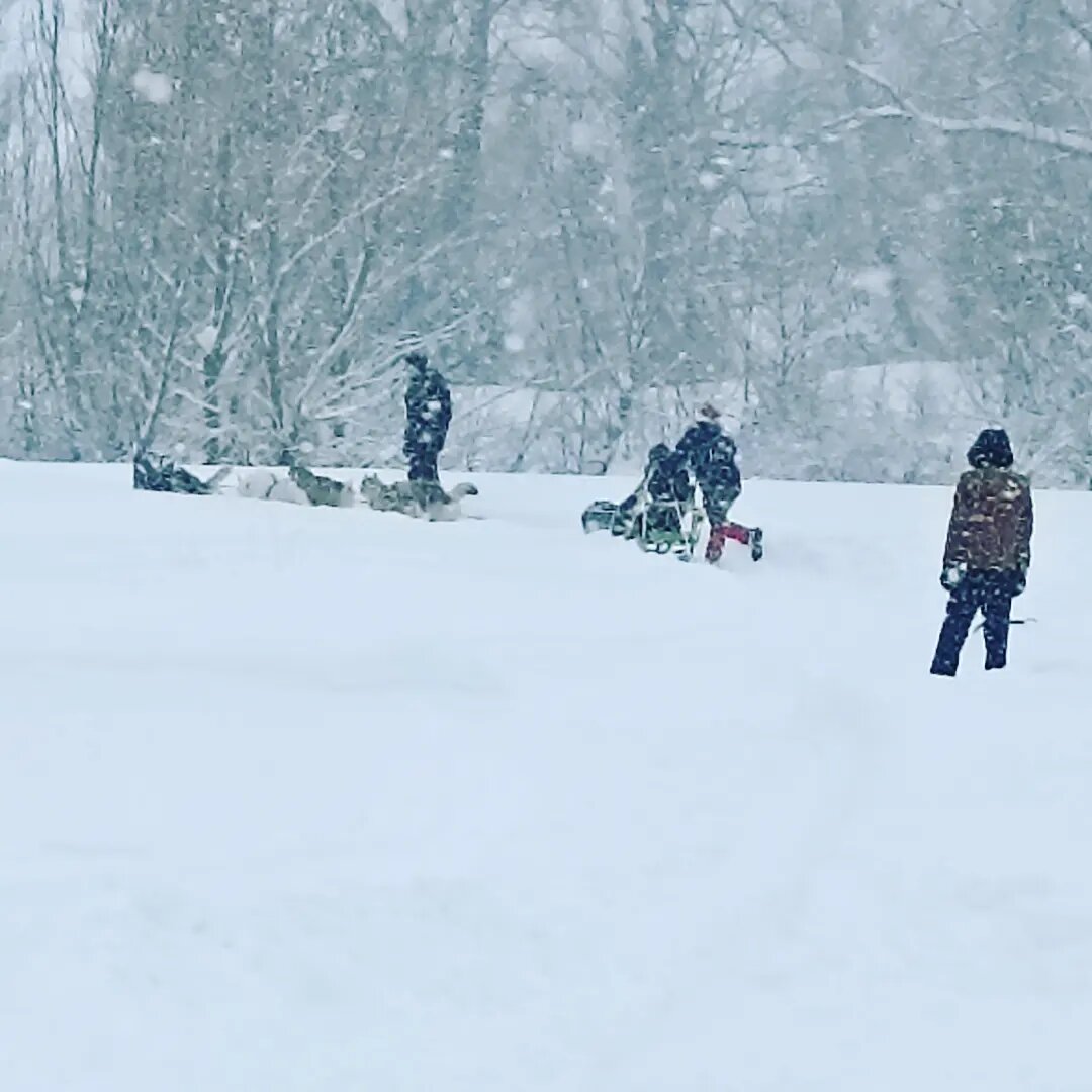 Катание в упряжке..