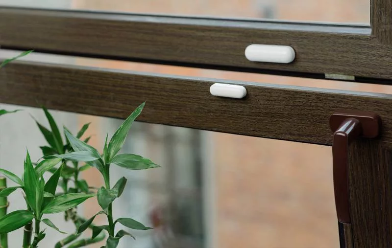 Пример герконов - датчиков открытия окон