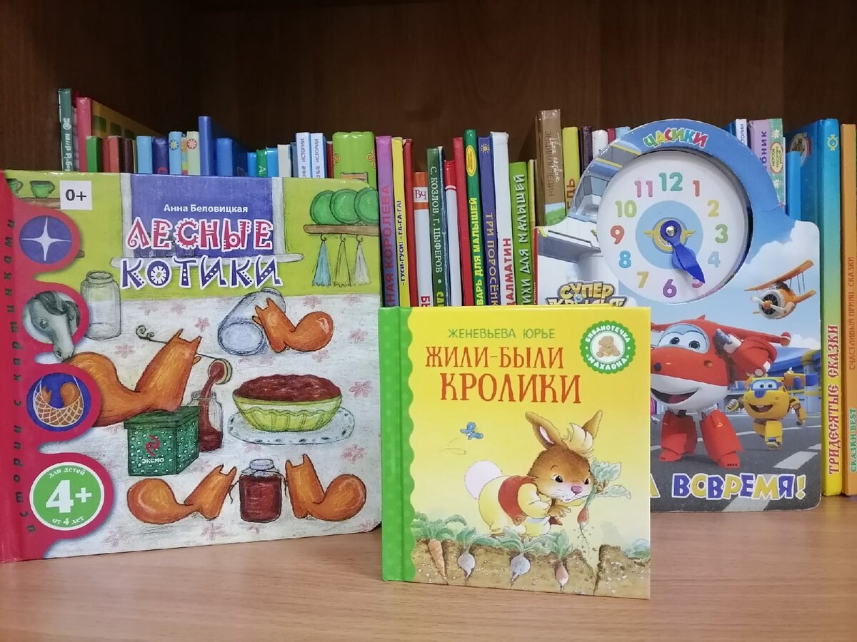 Книги в Литературном музее