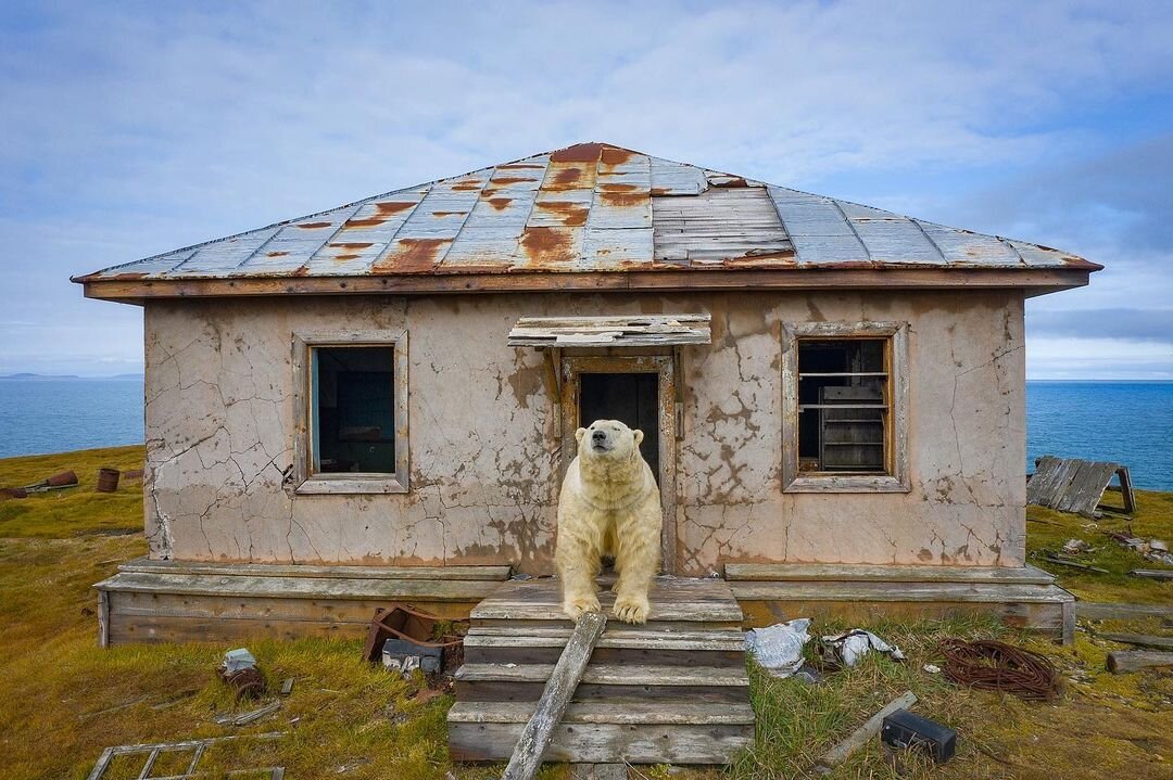 Фото: Дмитрий Кох