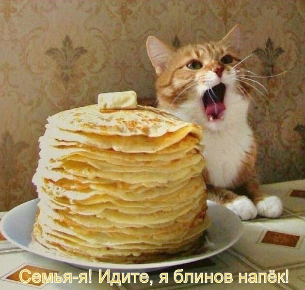 Из открытых источников: Яндекс. Картинки