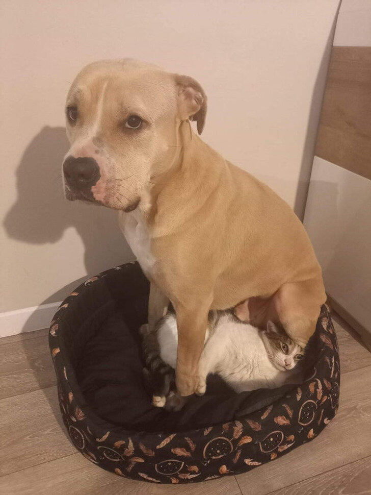 © 
Kif_the_mad_yiffer / reddit