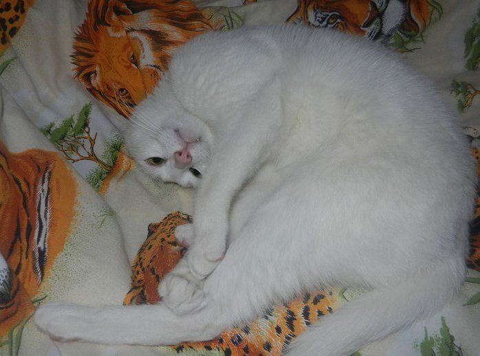 На передержке