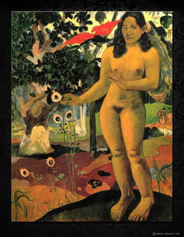 «Прекрасная страна» (1892)