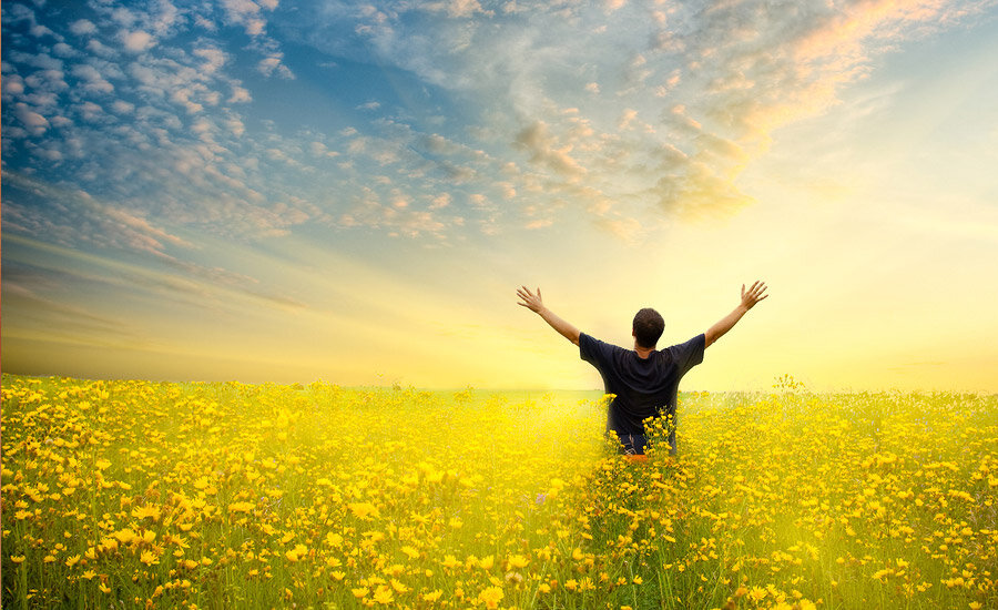 радость утра