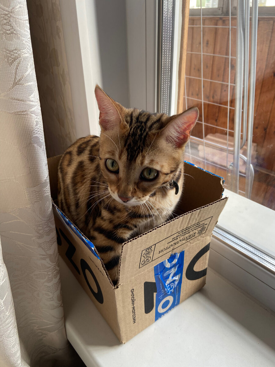 Мам, пап не уезжайте