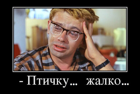 Кадр из фильма "Кавказская пленница"