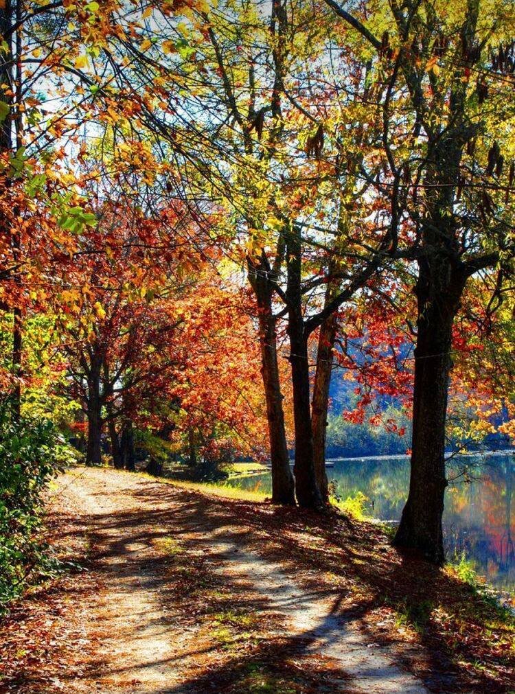 «Как изменить свою жизнь? Как добиться любви? Как полюбить? Как добиться успеха? Как получить что-то от другого? Как изменить другого? Как выглядеть моложе? Как быть здоровым? Как убрать боль? Как помочь другому?» У многих, вероятно, возникали подобные вопросы. Какая связь между этими вопросами?
Есть ли что-то такое, что позволит ответить на них? Да, к счастью, есть! И это – Любовь! Как ни странно для кого-то это прозвучит, но именно Любовь решает подобные проблемы. Любовь творит чудеса. Но это не та «бытовая» любовь, из-за которой страдают и ради которой убивают. То — не любовь, а, выражаясь современным языком, желание владеть «недвижимостью». Мы же будем говорить о любви, ради которой хочется жить и радоваться; о любви, как энергии жизни, энергии творения, которая, в частности, и вызывает чувство любви между мужчиной и женщиной. Благодаря этой же энергии человек ощущает самые высокие чувства, когда любуется природой, когда ласкает животных, когда общается с детьми и, наконец, когда просто радуется, чувствует себя счастливым.

Энергия Любви – основа человеческой сути. Для людей, осознающих свое божественное происхождение, это понятно, потому что Бог – это Любовь, т.е. творящая энергия. А человек создан по образу и подобию, т.е. основа человека – энергия Любви.

С научной же точки зрения Любовь – тоже энергия. Мы знаем, что белый свет можно разложить на составляющие цвета радуги и на миллионы их оттенков. И каждый оттенок – это волны строго определенной частоты. Любовь словно свет, состоит из множества удивительных оттенков. И если бы мы «разложили» энергию Любви по частотам, то получили различные чувства и эмоции: радость, благодарность, наслаждение, одобрение, восторг, восхищение и множество других радующих душу чувств.

Любовь можно представить как некую арфу с множеством струн. Поэтому, когда человеку что-то нравится, значит, у него «звучит» вполне определенная струна. Одним людям что-то нравится, а другим это же самое не нравится: им просто «нечем» любить, у них эта «струна» не развита.

Энергия Любви – это энергия, благодаря которой человек живет. Любовь – это энергия, которая является основой мироздания. Разобравшись в ней, вы сможете найти ответ на главный вопрос: «Как изменить свою жизнь?»

Чтобы убедиться, что речь идет не о высокопарных словах, а о реальной мощнейшей силе, приведу несколько примеров, с которыми практически все знакомы.

Маленький ребенок лежит и улыбается. Он что – анекдот вспомнил? Это – проявление радости – высшей составляющей энергии любви. С годами она, к сожалению, начинает «увядать». Молодые люди обычно – веселые, жизнерадостные. Это возможно при одном условии: у человека есть «чем» радоваться, т.е. есть соответствующие вибрации. С возрастом энергия Любви уменьшается. Она блокируется негативными энергиями.

Пища, приготовленная с любовью, всегда вкуснее. Это говорит о том, что у человека, который готовил пищу, есть эта энергия любви!

Картина, музыка, книги и др., написанные с любовью, отражают эту любовь.

Помещение, в котором люди проявляют свою любовь, отдает эту любовь присутствующим. Вероятно, многим известна фраза «Намоленное пространство».

Растения реагируют на энергию Любви. Они начинают пышно расти у одних людей и увядают – у других. В литературе на эту тему приведено много интересных примеров.

И главное: эту энергию человек может усиливать и управлять ею. 