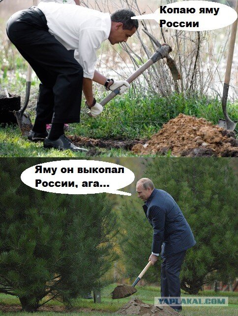 Могу копать могу не копать картинка