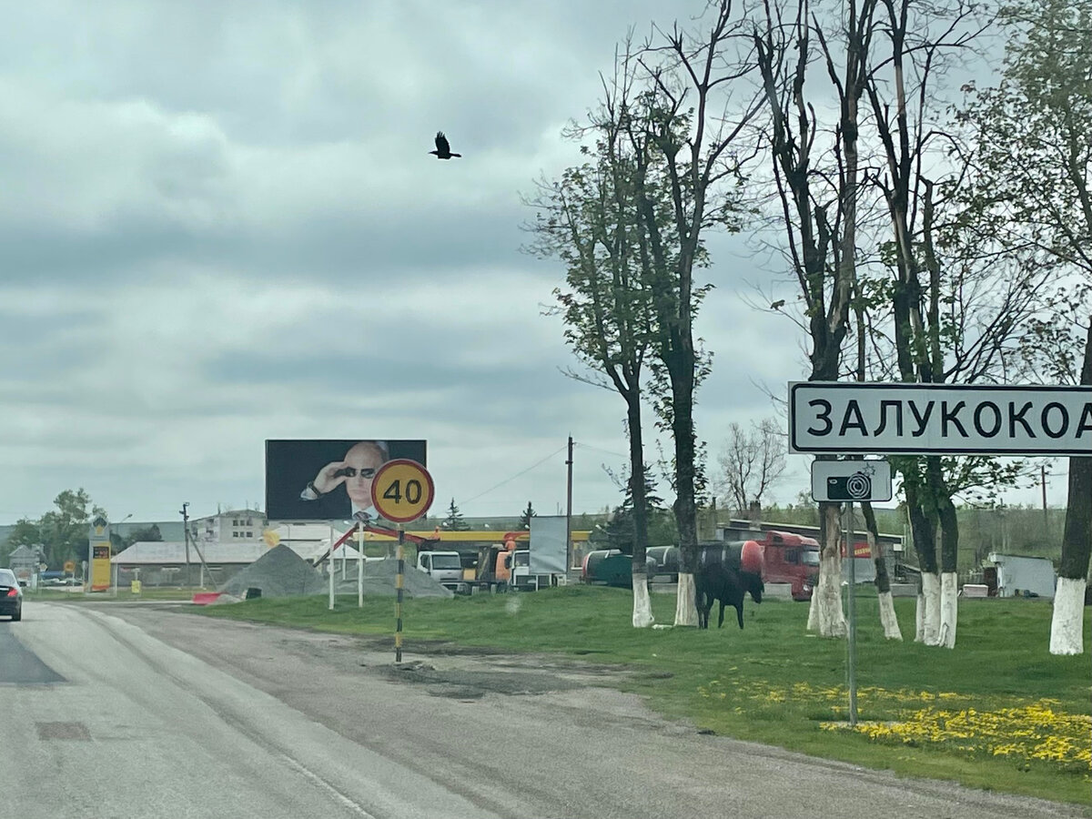 Поднялись с сыном на Эльбрус, но ничего не увидели. Зато узнали, что такое  горная болезнь | С ребенком хоть на край света! | Дзен