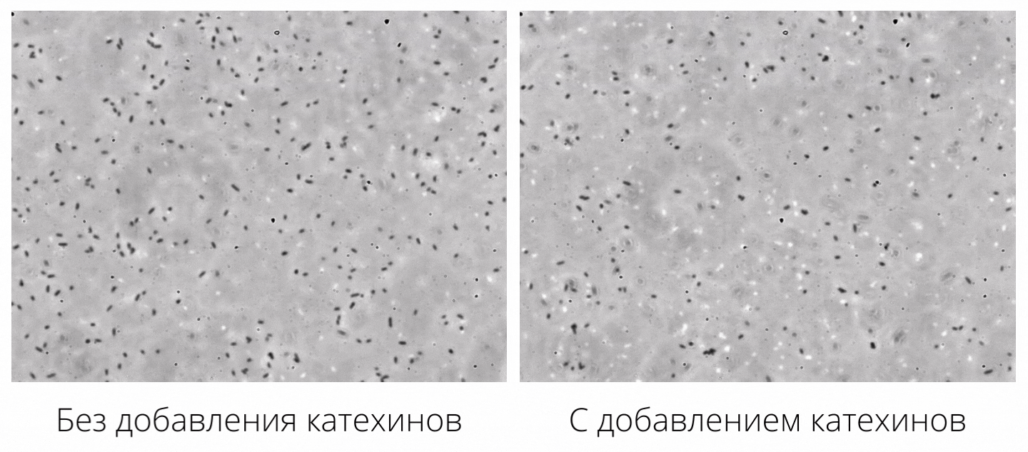 Снято доцентом Шуичи Накамурой, Высшая инженерная школа Университета Тохоку