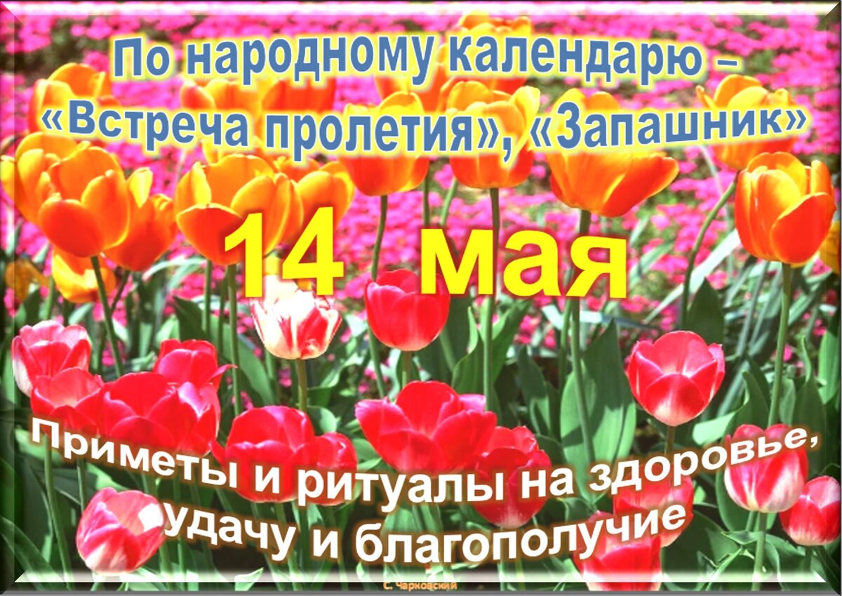 14 мая - Традиции, приметы, обычаи и ритуалы дня. Все праздники дня во всех  календаре. | Сергей Чарковский Все праздники | Дзен