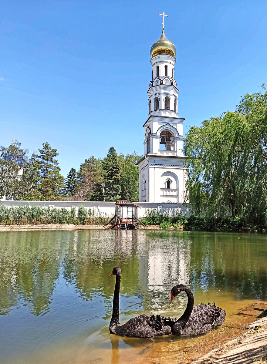 Монастырь Всецарица Пластуновская. Пластуновская Краснодарский край подворье монастыря. Монастырь в Пластуновской. Женский монастырь Пластуновская.