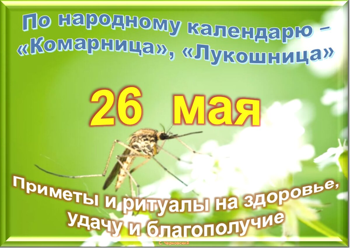 26 мая расписание