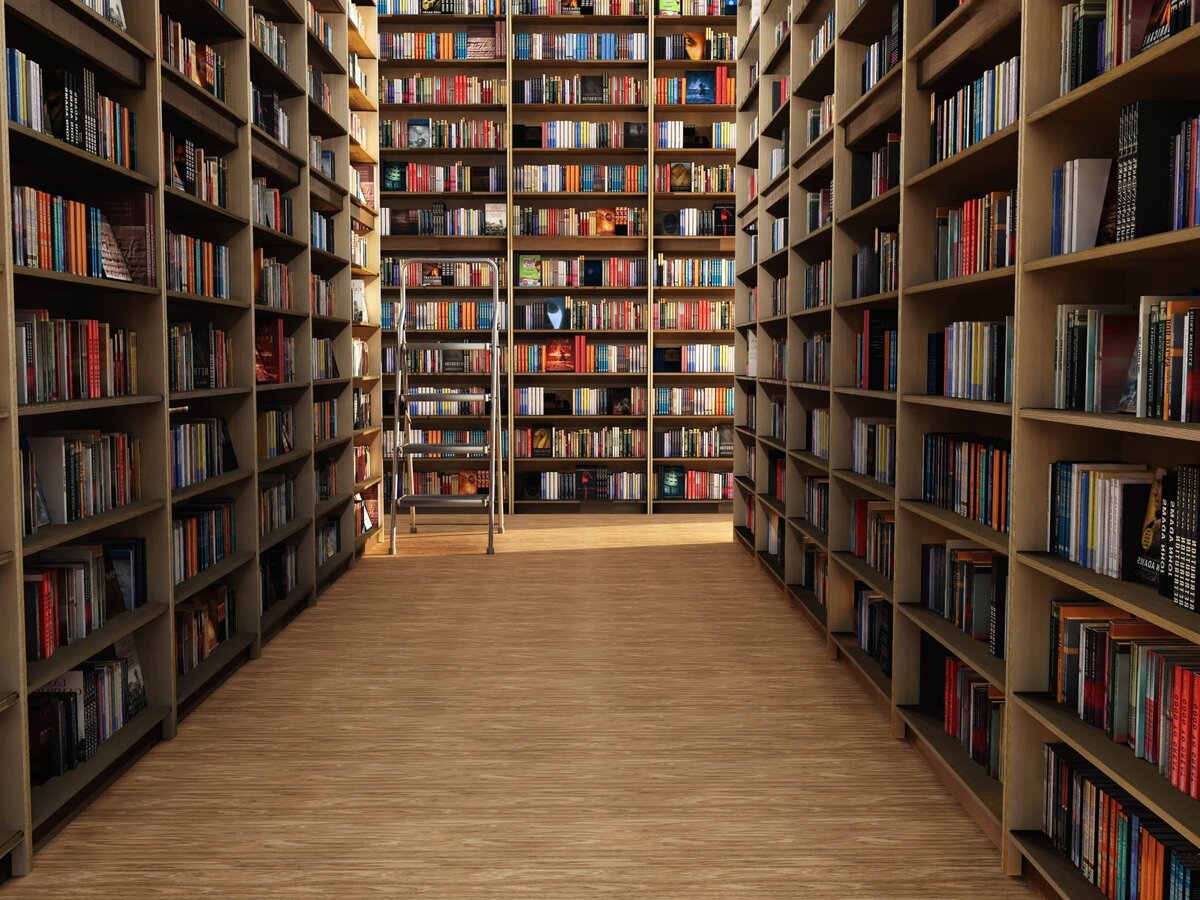 Самый необычный сюрприз в библиотеке...