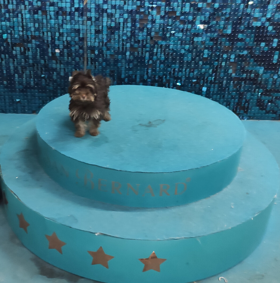 Первый раз на подиуме. Будущая звезда 🌟