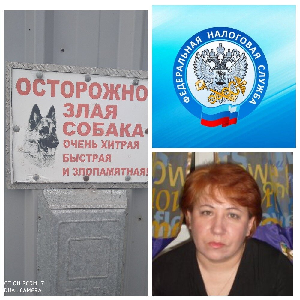 Давно на них зуб точила! (коллаж автора)