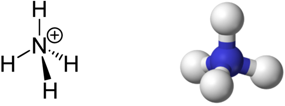 Nh4 hf. Ион аммония формула химическая. Структура формула Иона аммония. Структурная формула Иона аммония. Химическая формула Иона аммония.