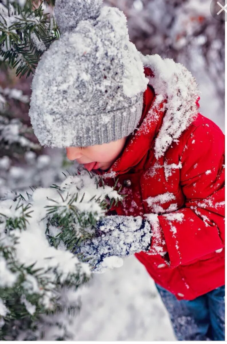 Картинка из сети. Но поведение очень похоже). 