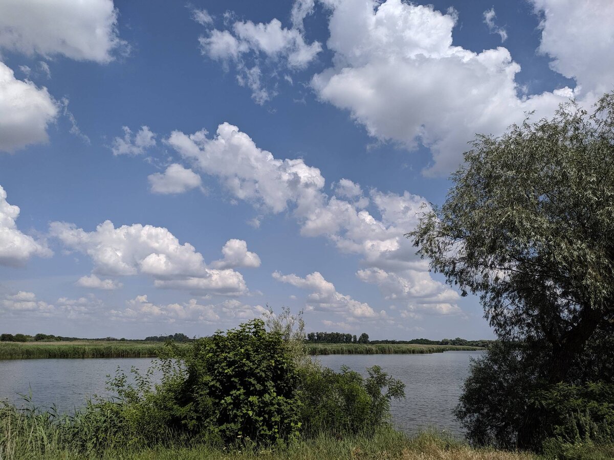 Тропа к воде.