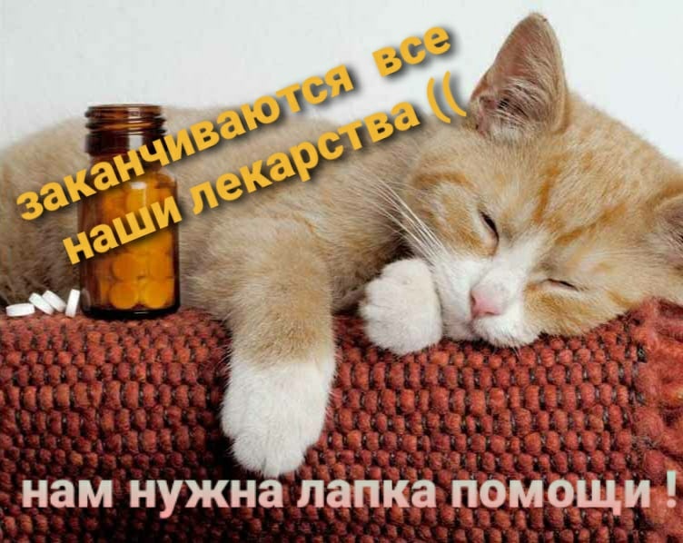 Картинка взята с просторов интернета. 