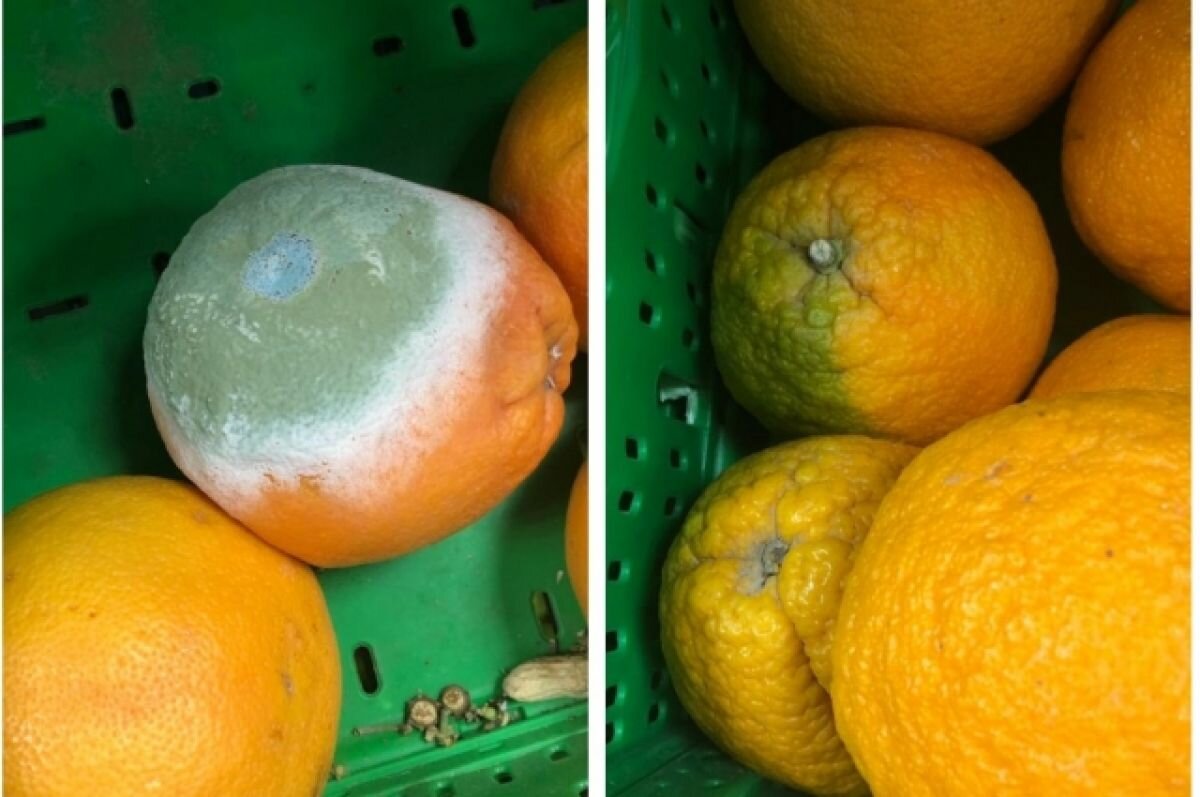    Токсический шок. Новосибирцы нашли заплесневелые апельсины в торговых сетях