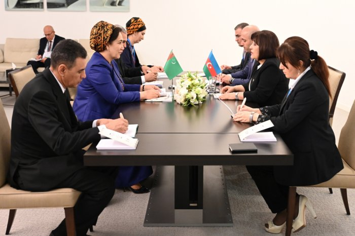 Источник фото: meclis.gov.az