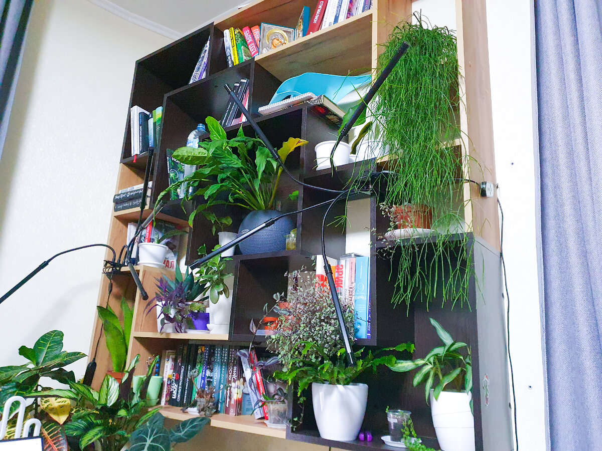 В целом с коллекцией всё более, чем хорошо