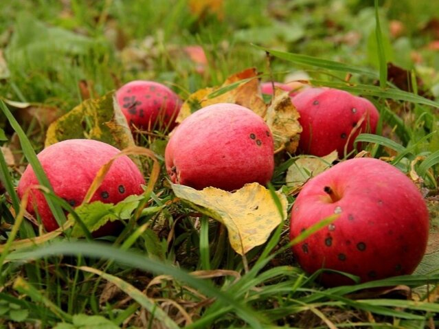 Фото: stroy-podskazka.ru