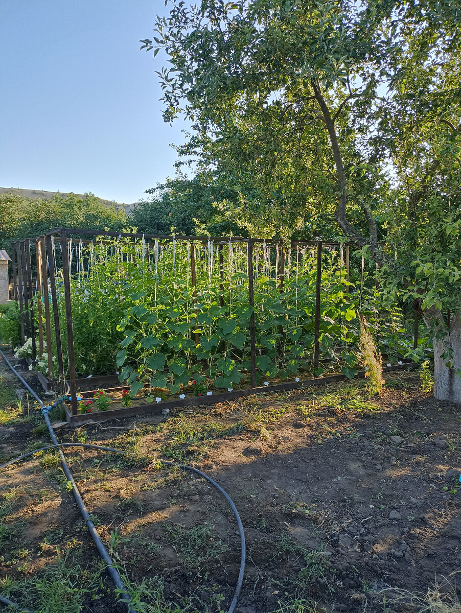 Фото сделано около 7часов утра. 