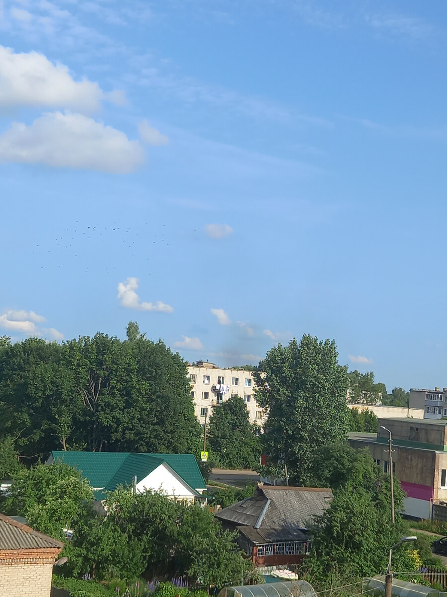 Фото автора. Это вид из моего окна. Здорово, что окна выходят на две стороны. ..