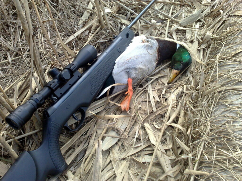 Нужен ли карабин. Нужен ли карабин. 6,5 grendel карабин с поворотным затвором. Нужен ли карабин. Lee enfield smle mk 1.