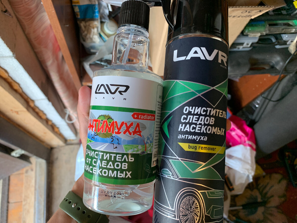 По-любому эта машущая лапкой муха будет мне сниться.