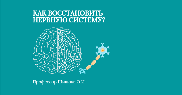 Как укрепить нервную систему и держать ее в тонусе