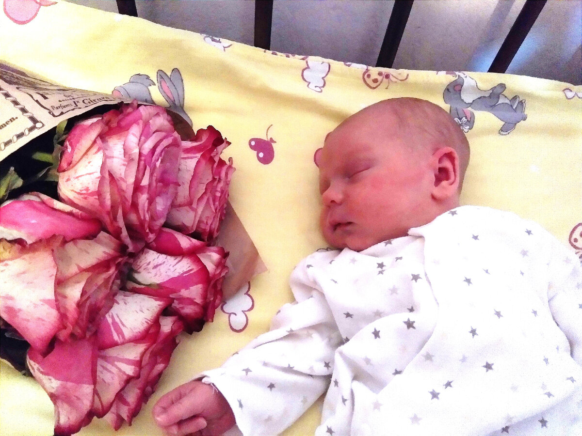 Первый день дома